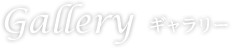 Gallery ギャラリー