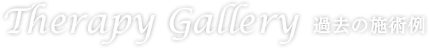 Therapy Gallery 過去の施術例